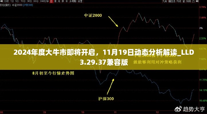 2024年度大牛市即將開啟，11月19日動態(tài)分析解讀_LLD3.29.37兼容版