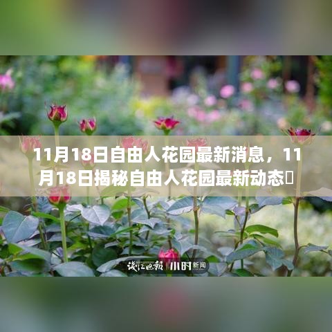 揭秘自由人花園最新動態(tài)，最新消息一覽（11月18日）