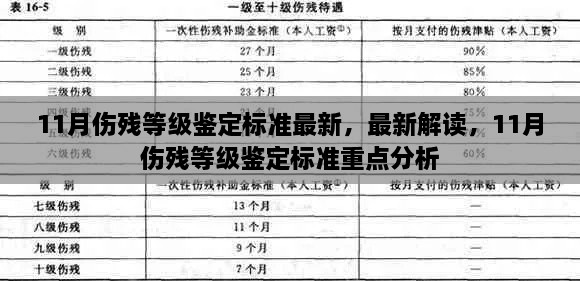 最新解讀與重點分析，11月傷殘等級鑒定標(biāo)準(zhǔn)詳解