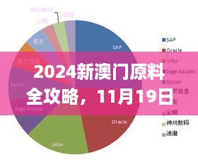 2024新澳門原料全攻略，11月19日專職解析實(shí)施_LXC6.23.35L版