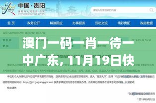 澳門一碼一肖一待一中廣東, 11月19日快速響應執(zhí)行_SVV3.11.24速達版