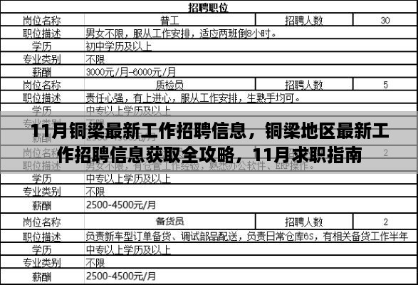 銅梁地區(qū)最新招聘全攻略，求職指南與招聘信息獲取指南（11月版）