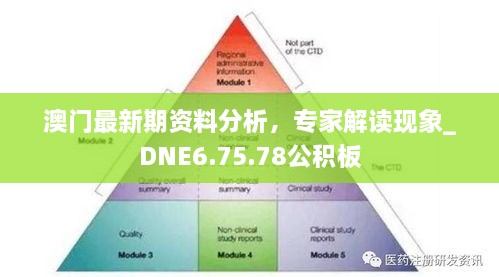 澳門最新期資料分析，專家解讀現(xiàn)象_DNE6.75.78公積板