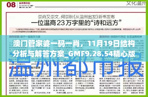 澳門管家婆一碼一肖，11月19日結(jié)構(gòu)分析與解答方案_GMF9.28.54精心版