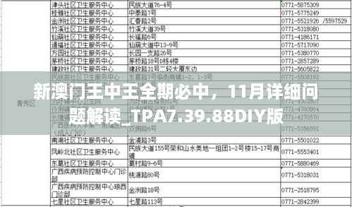 新澳門(mén)王中王全期必中，11月詳細(xì)問(wèn)題解讀_TPA7.39.88DIY版