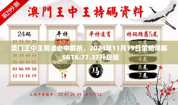 澳門王中王精準(zhǔn)必中解析，2024年11月19日策略詳解_SGT6.77.37升級(jí)版