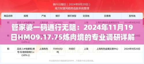 管家婆一碼通行無阻：2024年11月19日HMO9.17.75煉肉境的專業(yè)調(diào)研詳解