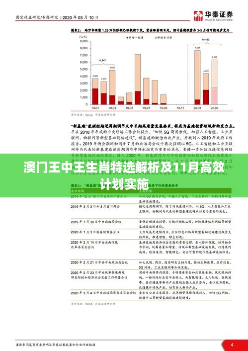 澳門王中王生肖特選解析及11月高效計(jì)劃實(shí)施