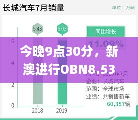 今晚9點30分，新澳進行OBN8.53.81數(shù)字版實地應(yīng)用數(shù)據(jù)驗證