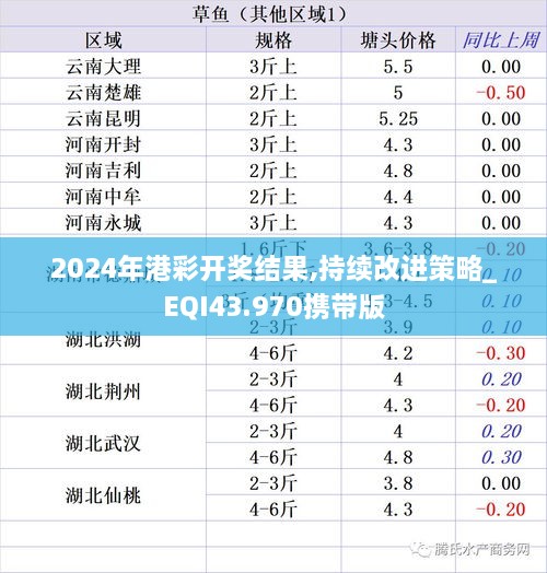 2024年港彩開獎結果,持續(xù)改進策略_EQI43.970攜帶版