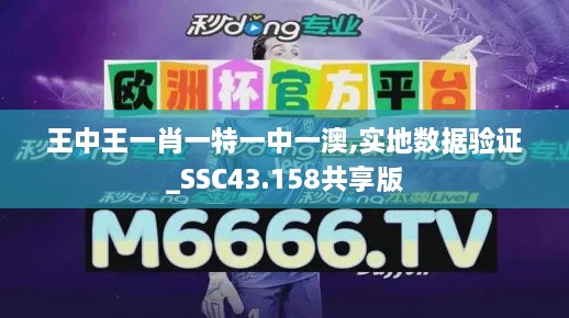 王中王一肖一特一中一澳,實地數(shù)據(jù)驗證_SSC43.158共享版