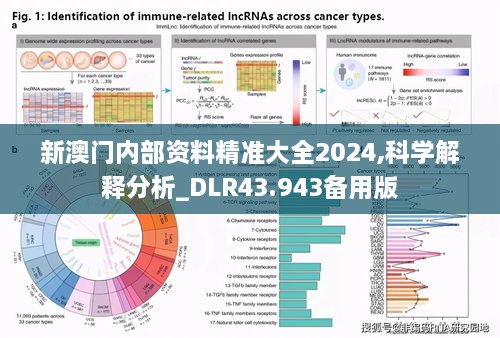 新澳門內(nèi)部資料精準大全2024,科學解釋分析_DLR43.943備用版