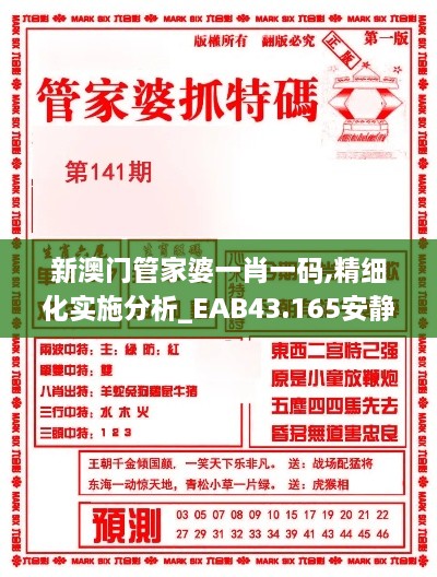 新澳門管家婆一肖一碼,精細化實施分析_EAB43.165安靜版