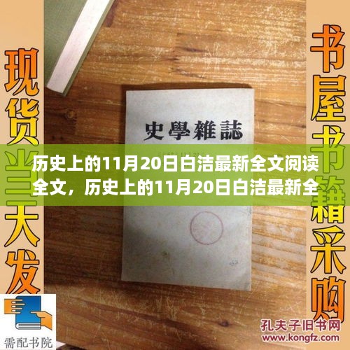 歷史上的11月20日白潔最新全文閱讀，產(chǎn)品評測與介紹全解析