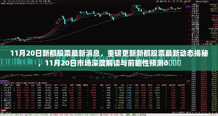 11月20日新都股票最新動態(tài)與市場深度解讀，前瞻性預(yù)測揭秘??