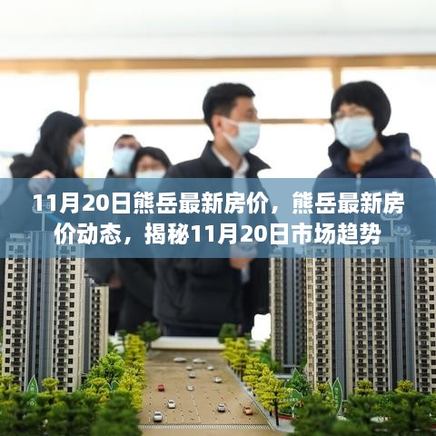 揭秘，熊岳最新房價動態(tài)及市場趨勢（11月20日更新）