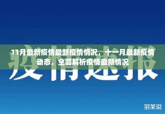 全面解析，最新疫情動態(tài)與十一月最新疫情情況