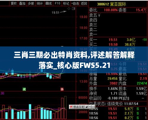 三肖三期必出特肖資料,評述解答解釋落實_核心版FWS5.21