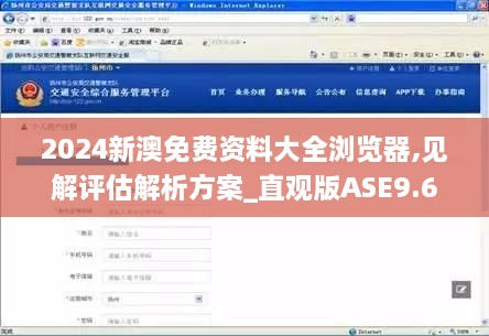 2024新澳免費(fèi)資料大全瀏覽器,見解評(píng)估解析方案_直觀版ASE9.65