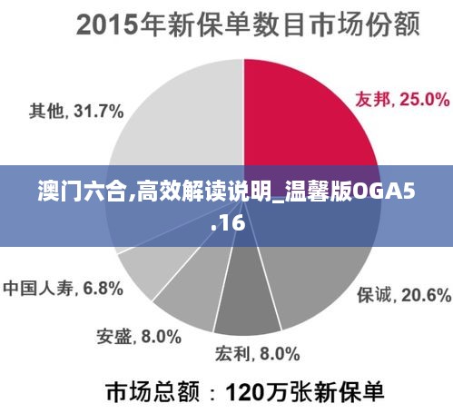 澳門六合,高效解讀說明_溫馨版OGA5.16
