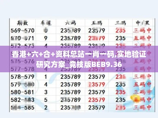 香港+六+合+資料總站一肖一碼,實地驗證研究方案_競技版BEB9.36