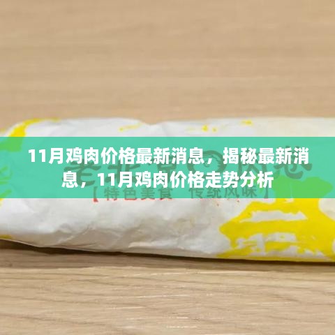 揭秘最新消息，11月雞肉價格走勢分析與預(yù)測