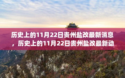 揭秘貴州鹽改最新動態(tài)，歷史上的11月22日最新消息揭秘