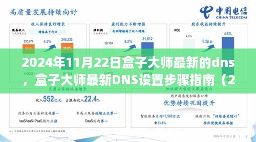 2024年11月22日盒子大師最新的dns，盒子大師最新DNS設置步驟指南（2024年11月版）