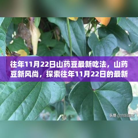 探索山藥豆新風尚，往年11月22日最新山藥豆吃法揭秘