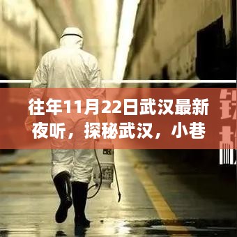 探秘武漢夜聽盛宴，小巷深處的獨(dú)特體驗(yàn)之旅（11月22日）