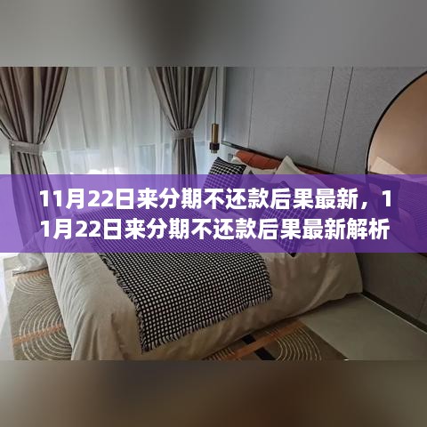 11月22日來分期不還款后果最新解析，全面審視其影響