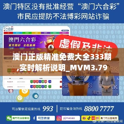 澳門正版精準(zhǔn)免費(fèi)大全333期,實(shí)時(shí)解析說明_MVM3.79