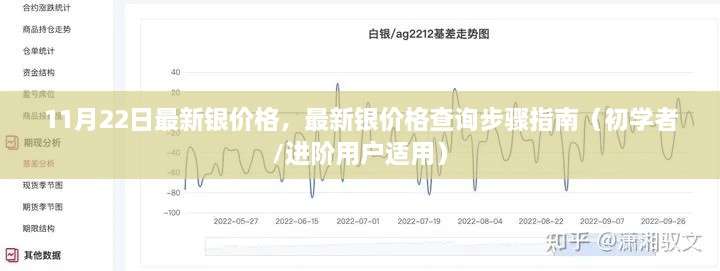 最新銀價(jià)格查詢指南，步驟詳解，適用于初學(xué)者與進(jìn)階用戶（11月22日更新）