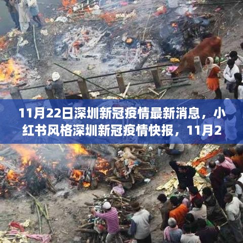 小紅書風格深圳新冠疫情快報，最新消息（11月22日）