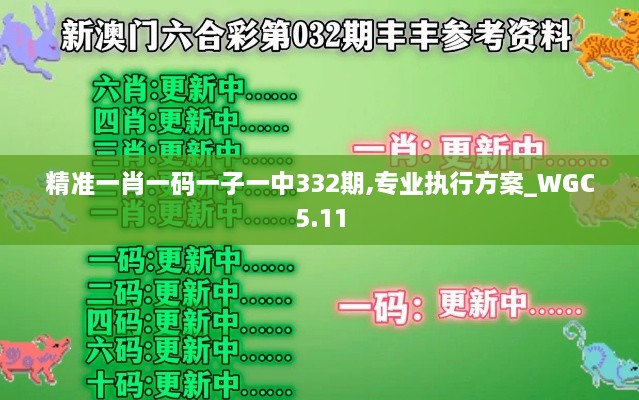 精準一肖一碼一子一中332期,專業(yè)執(zhí)行方案_WGC5.11