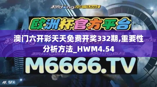 澳門六開彩天天免費開獎332期,重要性分析方法_HWM4.54