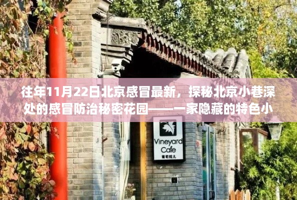 探秘北京小巷深處的特色小店，感冒防治秘密花園