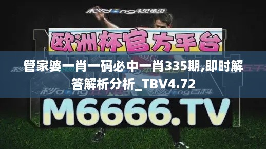 管家婆一肖一碼必中一肖335期,即時解答解析分析_TBV4.72