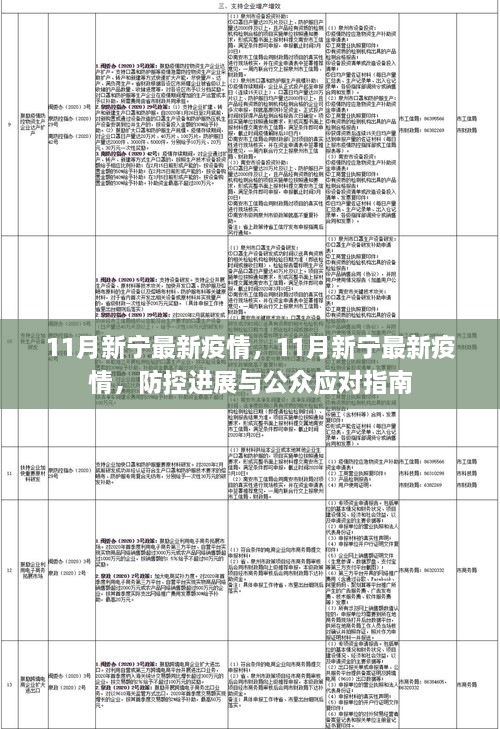 11月新寧最新疫情動態(tài)及防控進展與公眾應(yīng)對指南