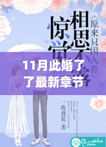 11月此婚了了最新章節(jié)，婚緣十一月，溫馨日常與愛的紐帶