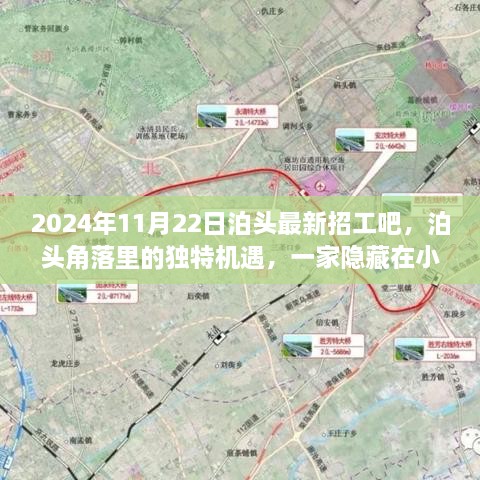 2024年11月22日泊頭最新招工吧，泊頭角落里的獨特機遇，一家隱藏在小巷中的特色小店招工記