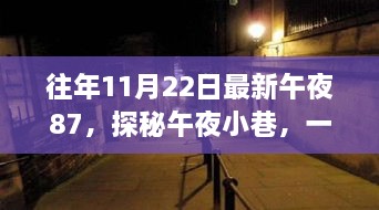 往年11月22日深夜探秘特色小店，午夜小巷的神秘誘惑——往年最新午夜87特色小店探秘之旅