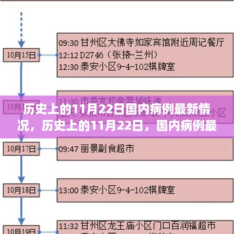 歷史上的11月22日國內(nèi)病例深度解析與最新情況