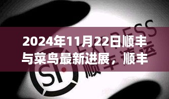 順豐與菜鳥攜手進展揭秘，共筑未來與小巷特色小店的最新動態(tài)