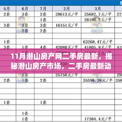 揭秘潛山房產(chǎn)市場，最新二手房動態(tài)深度解讀（11月版）