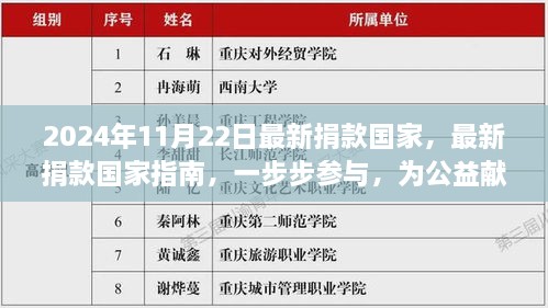 2024年11月最新版捐款指南，如何一步步參與公益貢獻(xiàn)力量