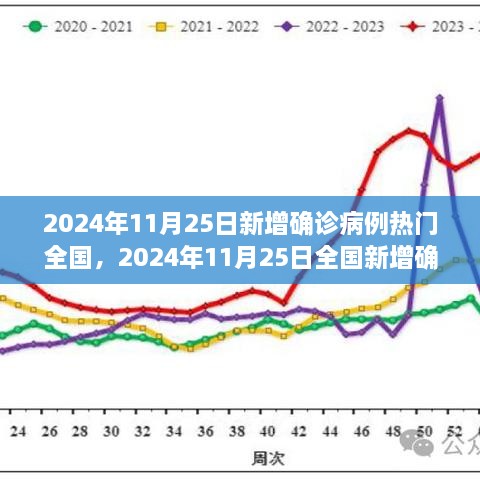 2024年11月25日全國疫情動態(tài)，最新確診病例指南與理解疫情走勢的方法