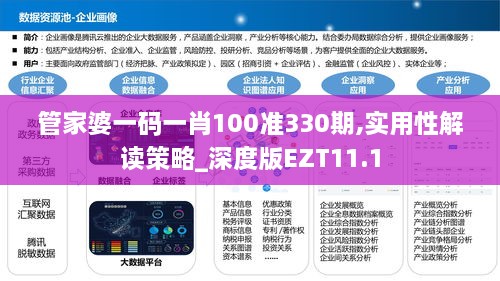 管家婆一碼一肖100準(zhǔn)330期,實用性解讀策略_深度版EZT11.1