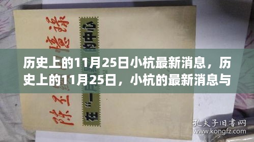 歷史上的11月25日，小杭的最新消息與深遠(yuǎn)影響揭秘