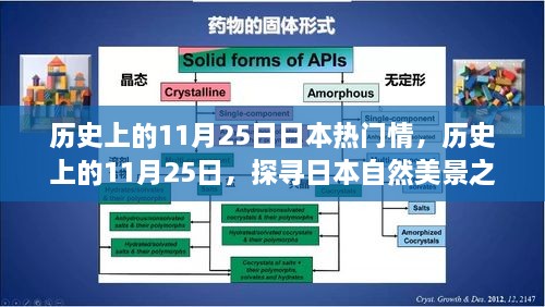 探尋日本自然美景之旅，歷史上的11月25日與日本情感之旅的寧靜與平和